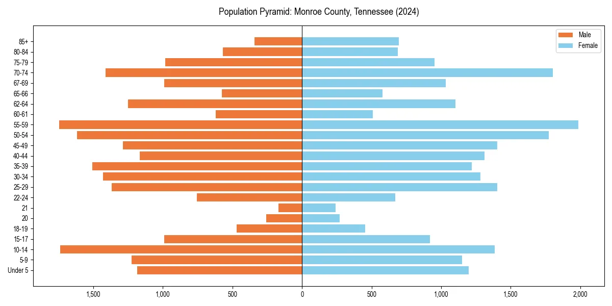 Population pyramid for 