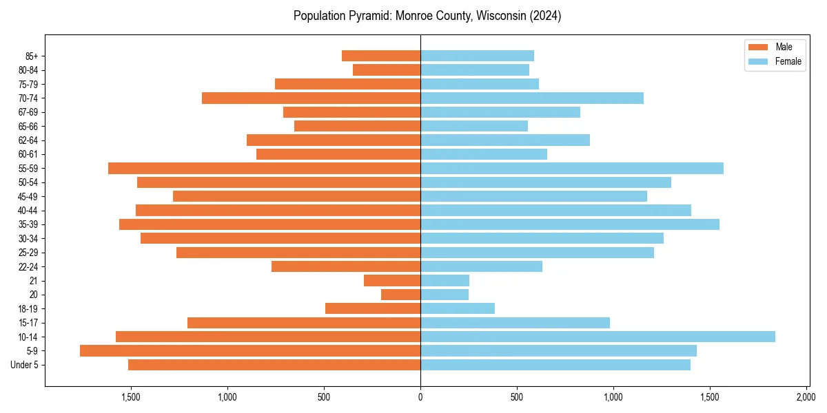 Population pyramid for 