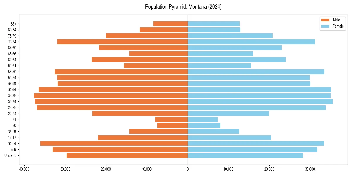 Population pyramid for 