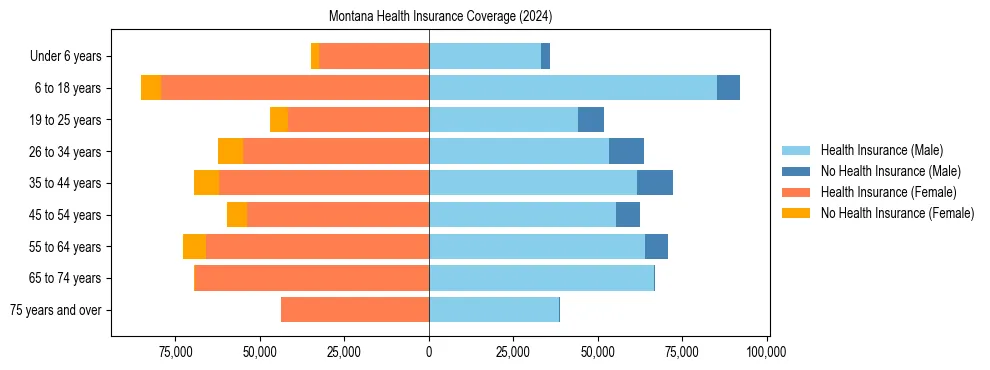Health insurance pyramid for Montana