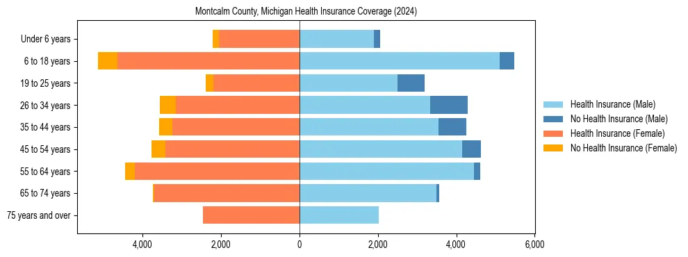 Health insurance pyramid for Montcalm County, Michigan