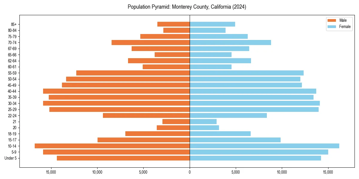 Population pyramid for 