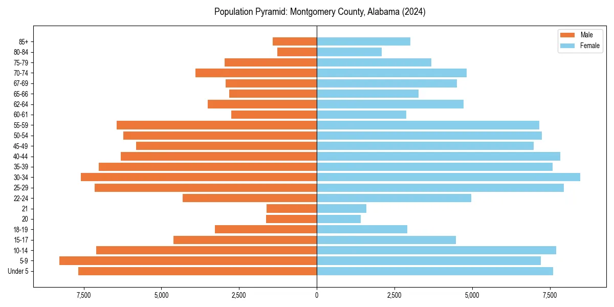 Population pyramid for 