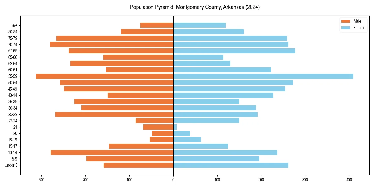 Population pyramid for 