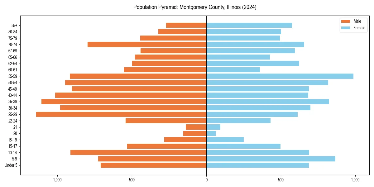 Population pyramid for 