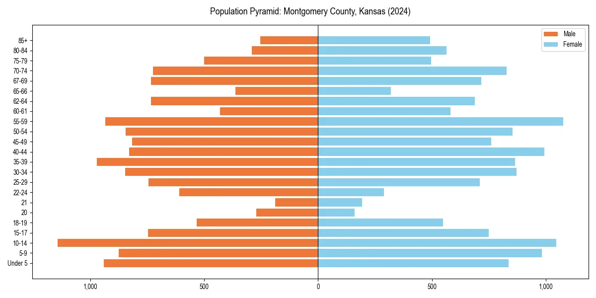Population pyramid for 