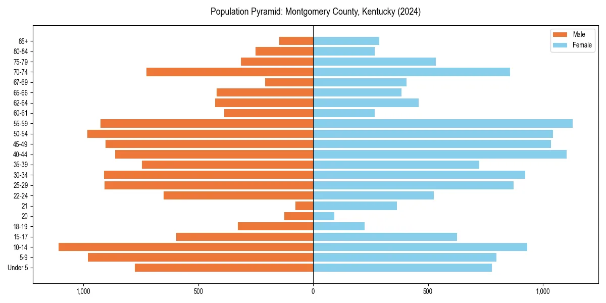 Population pyramid for 