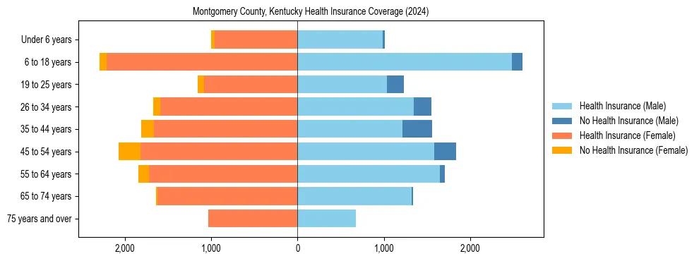 Health insurance pyramid for Montgomery County, Kentucky