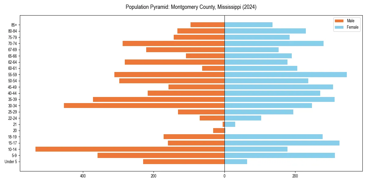 Population pyramid for 