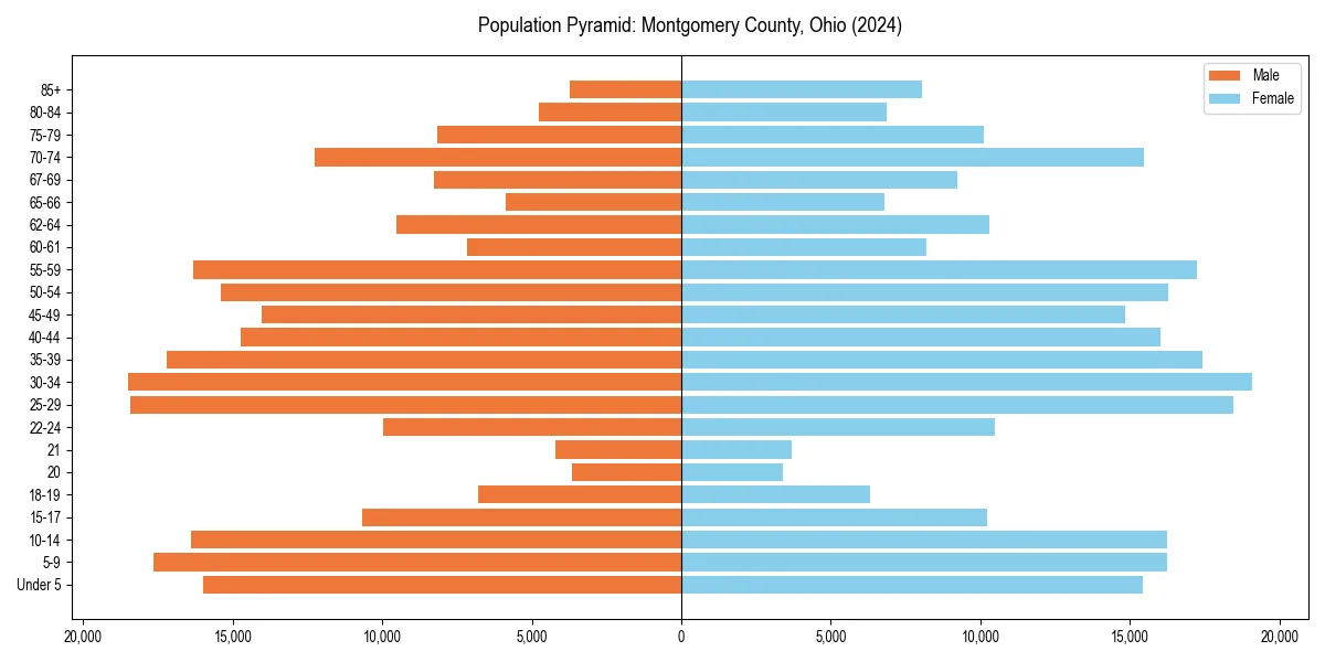 Population pyramid for 