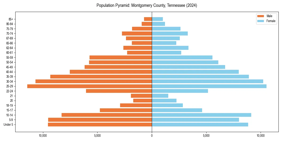 Population pyramid for 