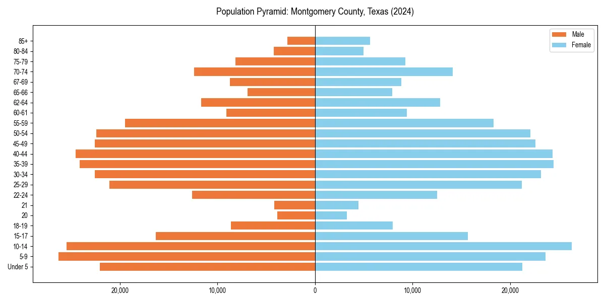 Population pyramid for 
