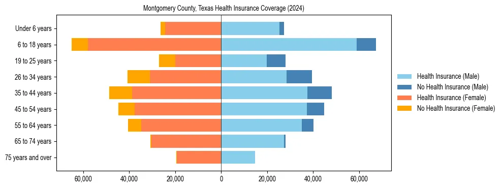 Health insurance pyramid for Montgomery County, Texas