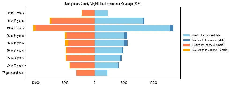 Health insurance pyramid for Montgomery County, Virginia