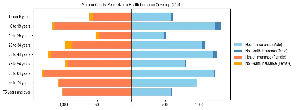 Health insurance pyramid for Montour County, Pennsylvania