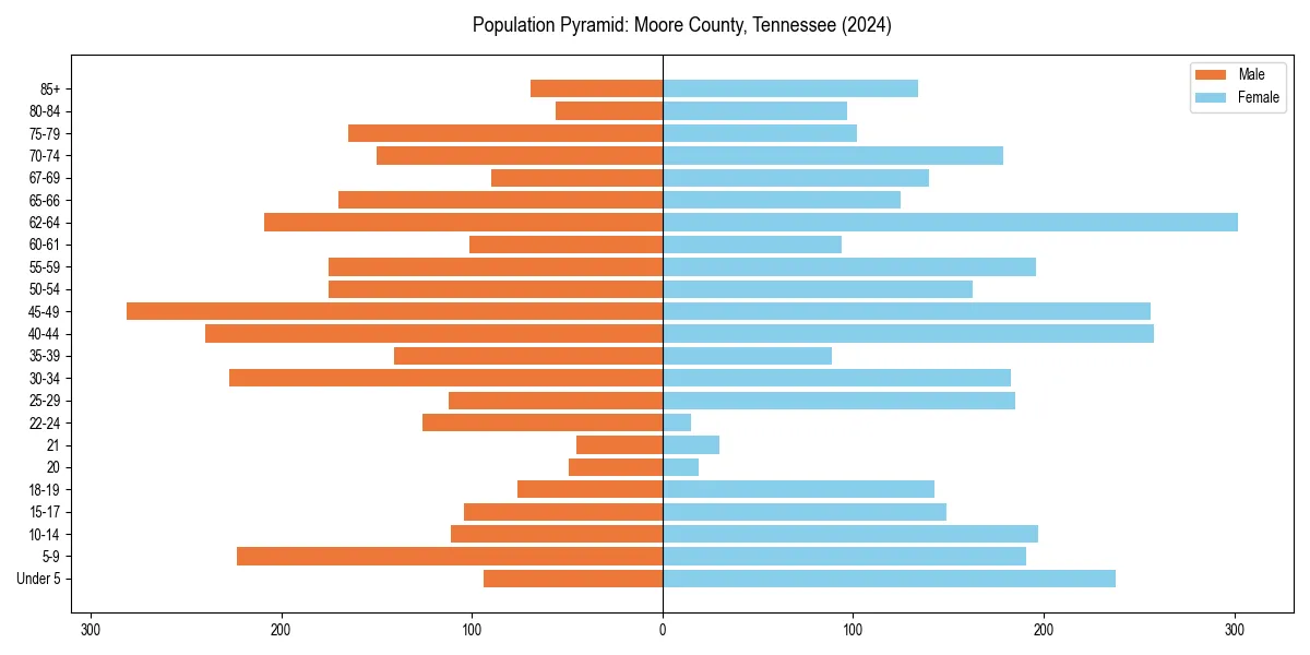 Population pyramid for 