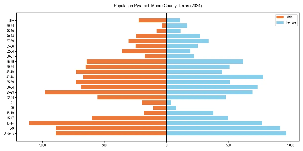 Population pyramid for 