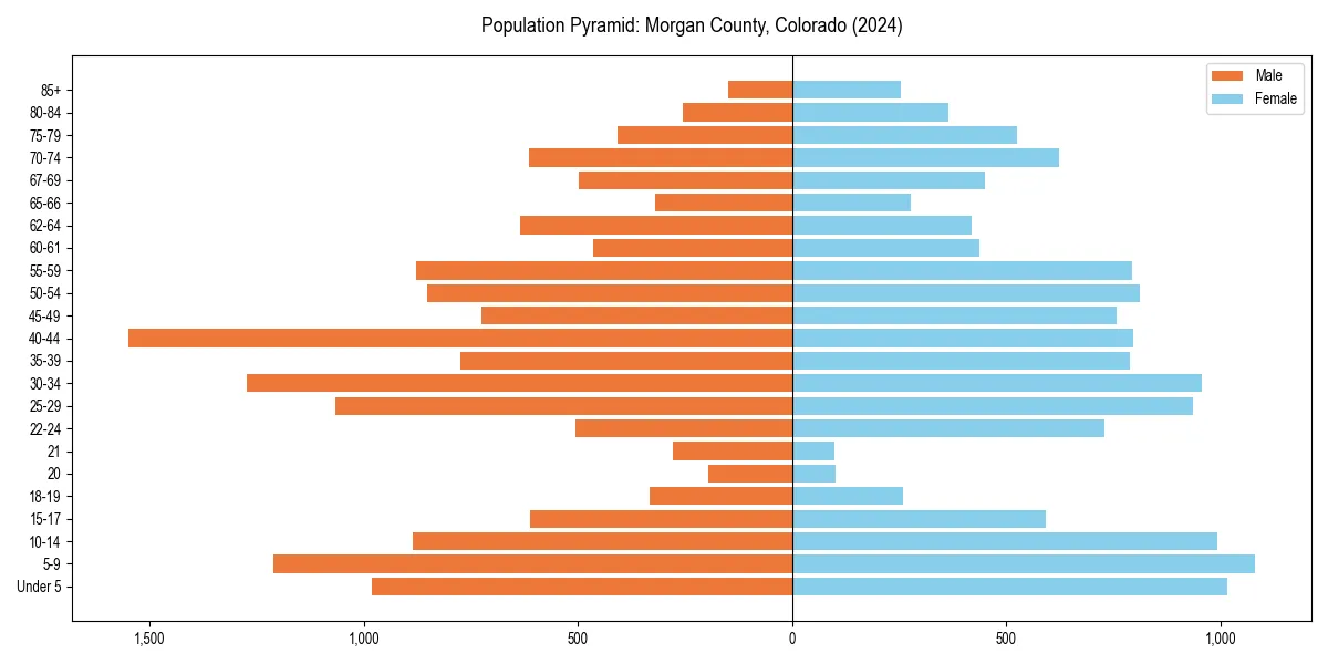 Population pyramid for 