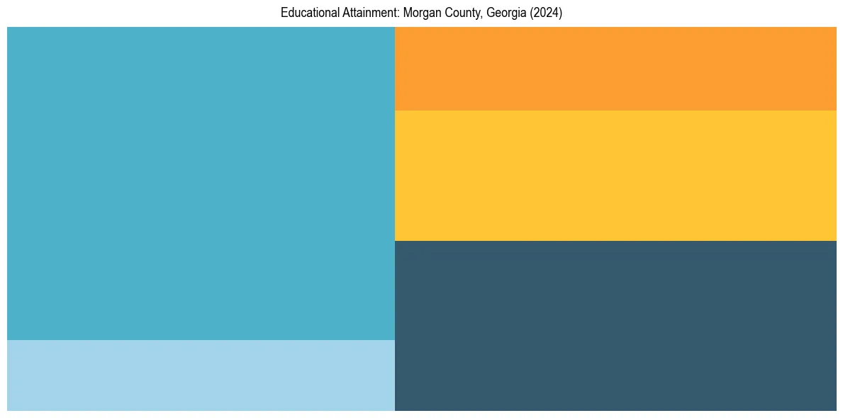 Education Treemap for  in 2024