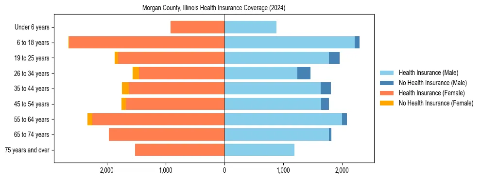 Health insurance pyramid for Morgan County, Illinois
