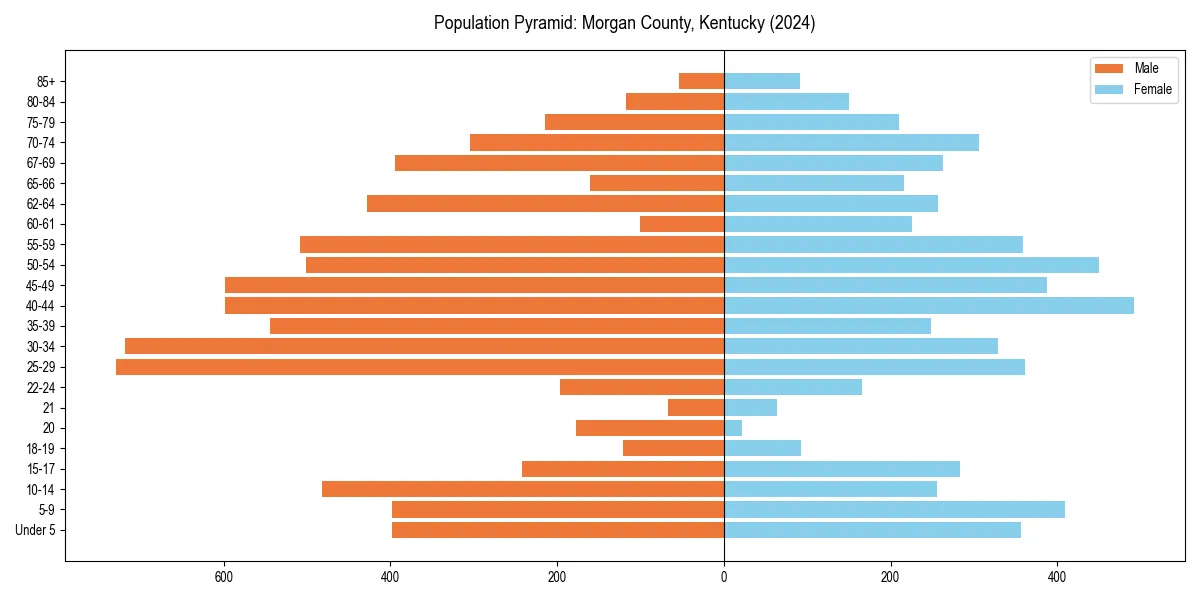 Population pyramid for 