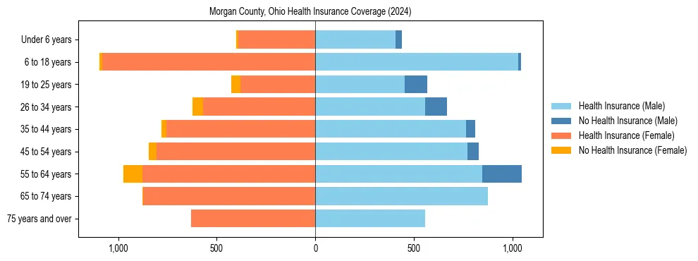 Health insurance pyramid for Morgan County, Ohio