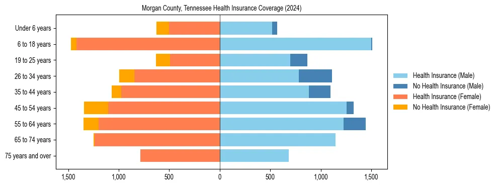 Health insurance pyramid for Morgan County, Tennessee