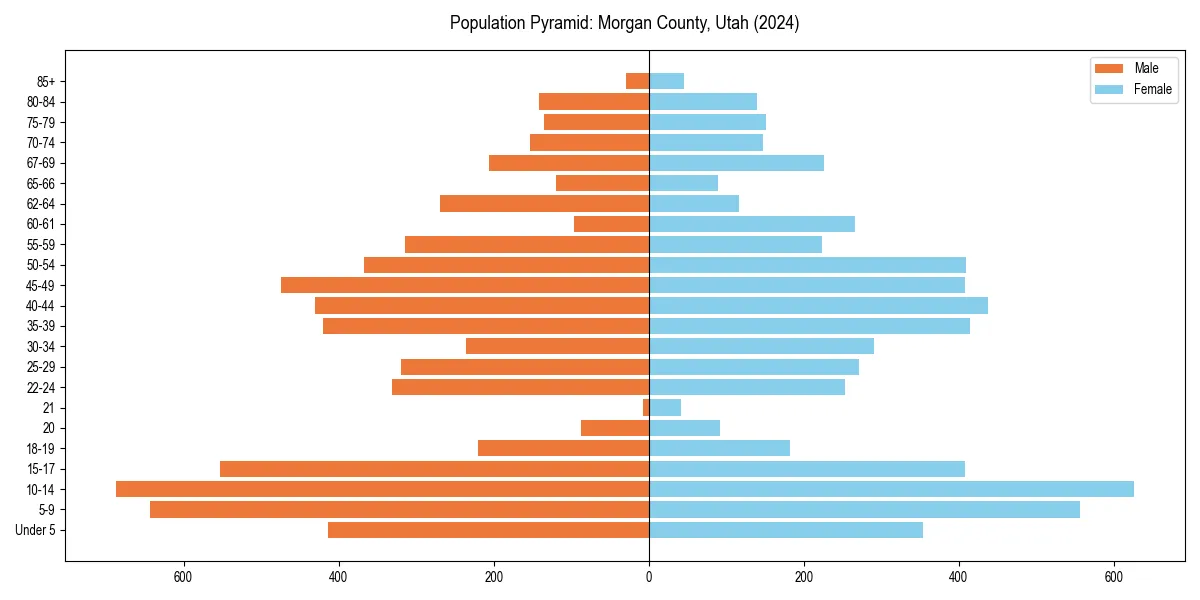 Population pyramid for 