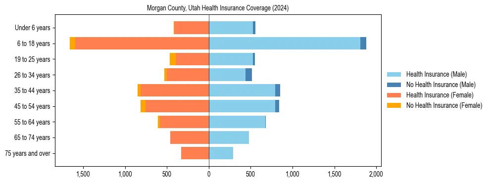 Health insurance pyramid for Morgan County, Utah