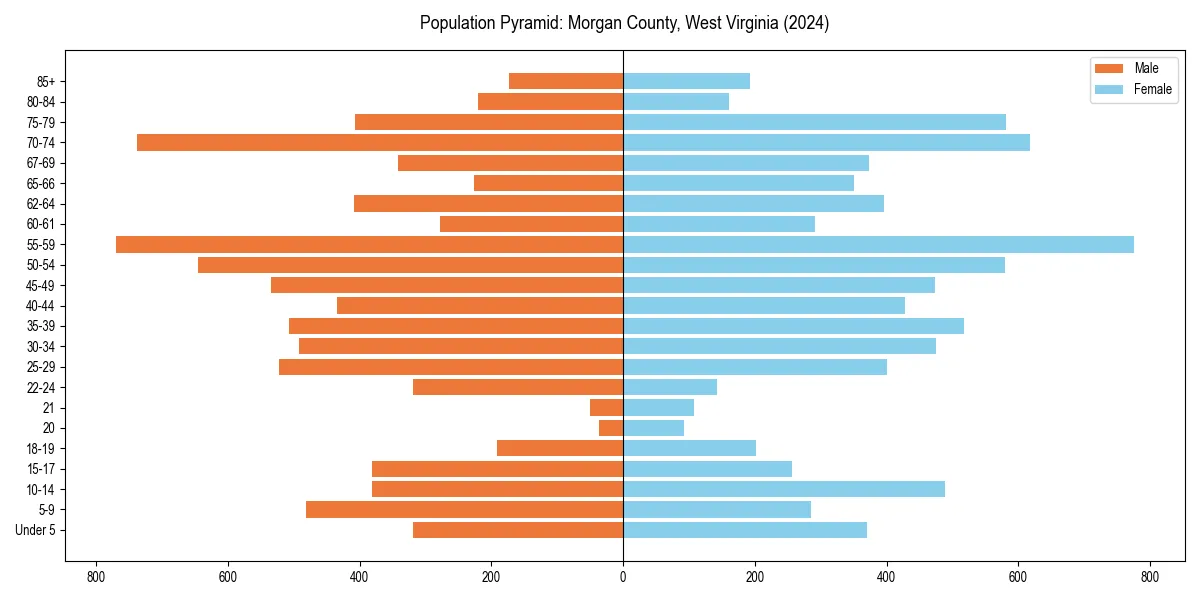Population pyramid for 