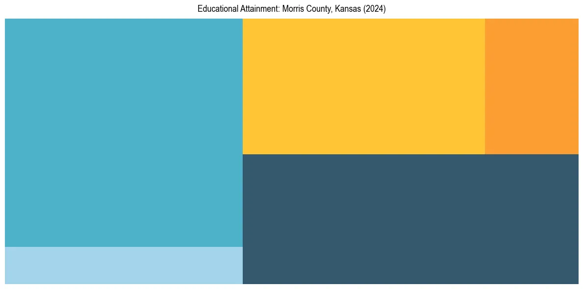 Education Treemap for  in 2024