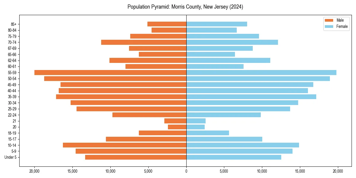 Population pyramid for 