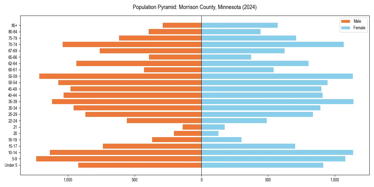 Population pyramid for 