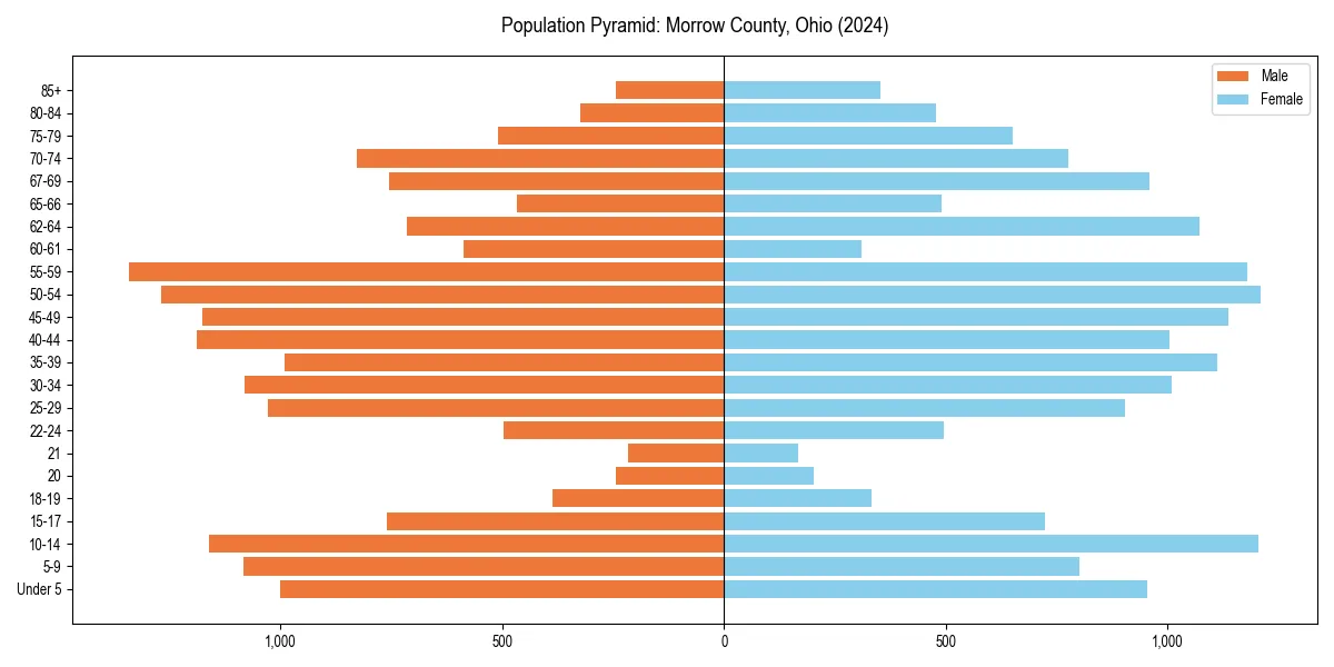 Population pyramid for 