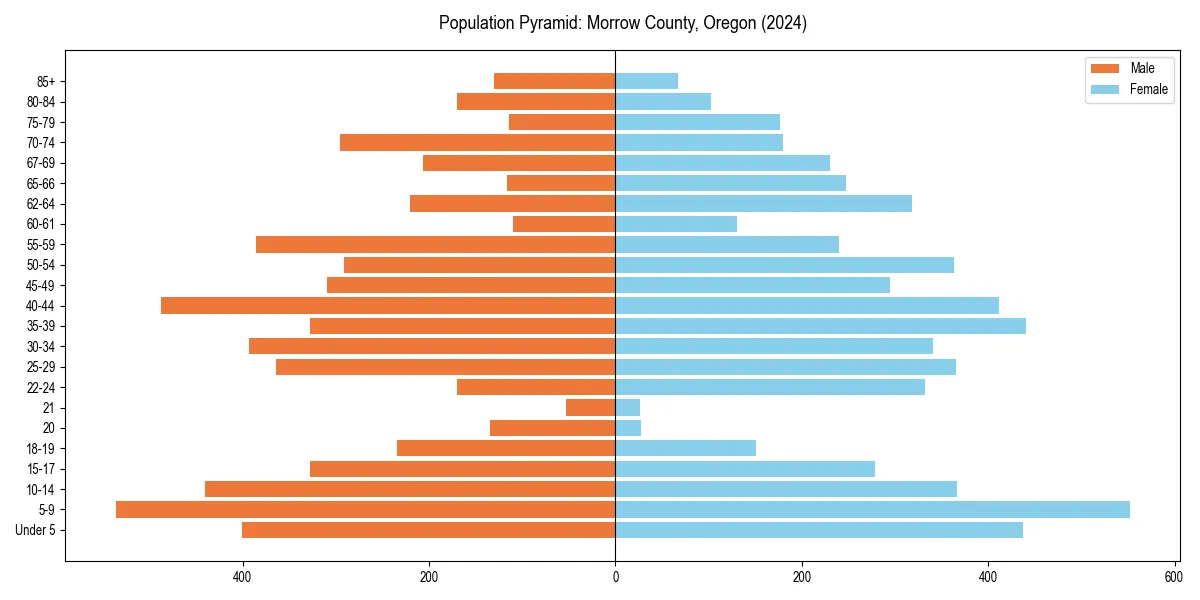 Population pyramid for 