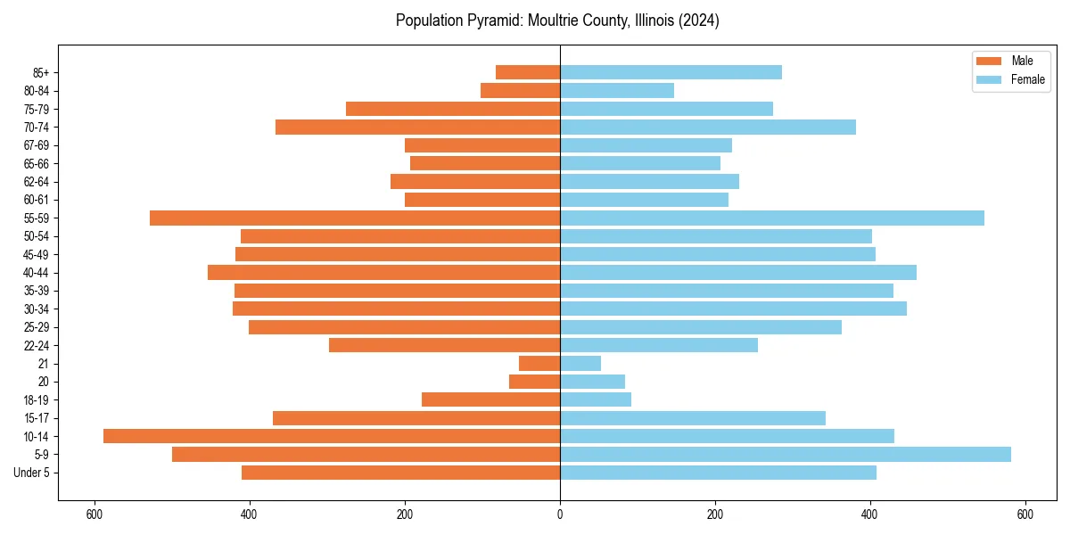 Population pyramid for 