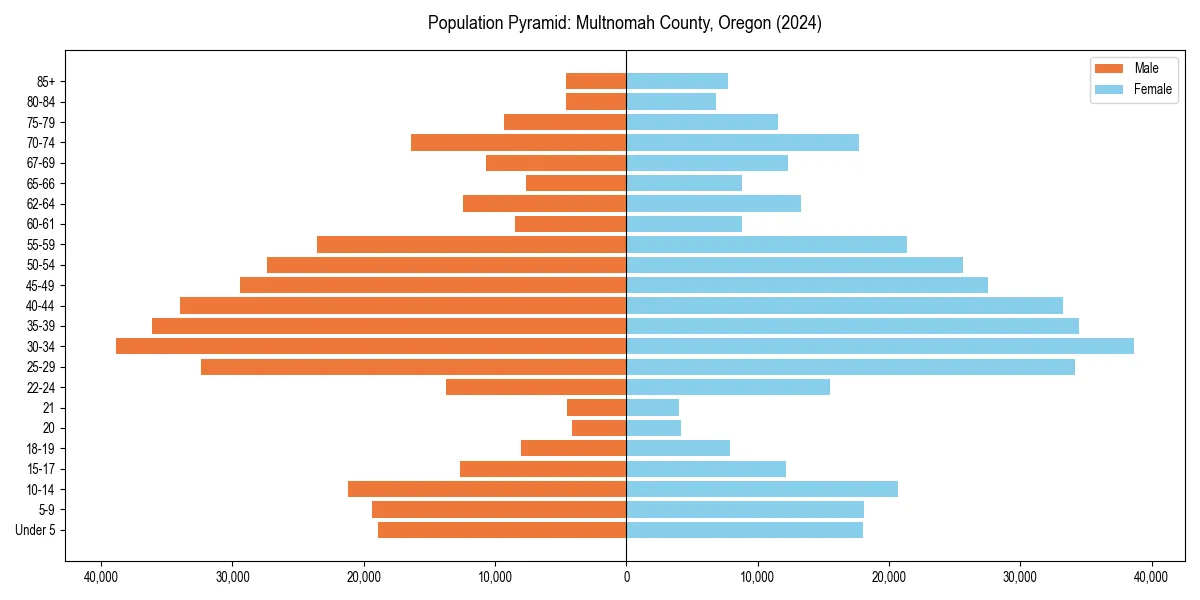 Population pyramid for 