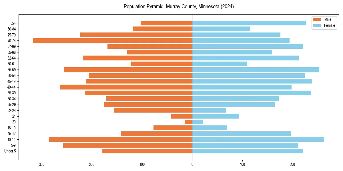 Population pyramid for 