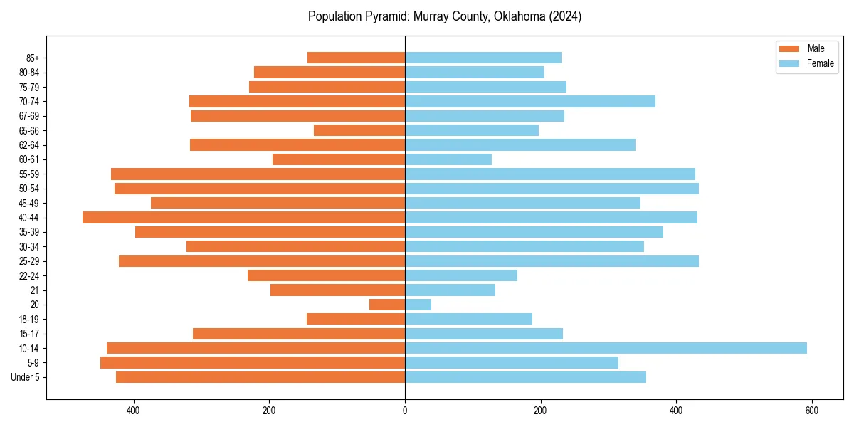 Population pyramid for 