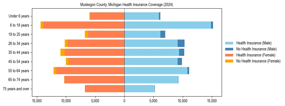 Health insurance pyramid for Muskegon County, Michigan
