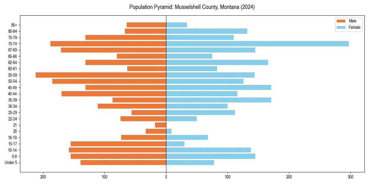 Population pyramid for 