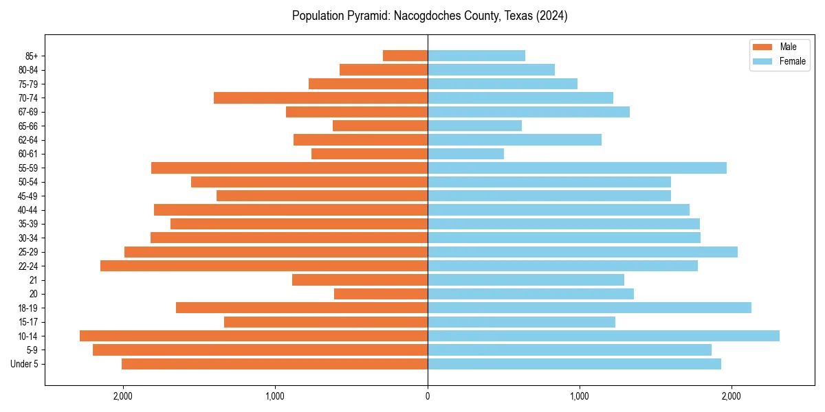 Population pyramid for 