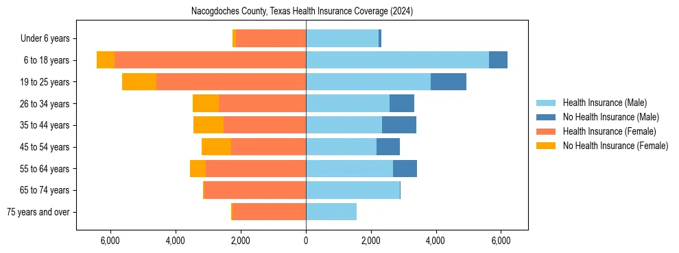 Health insurance pyramid for Nacogdoches County, Texas