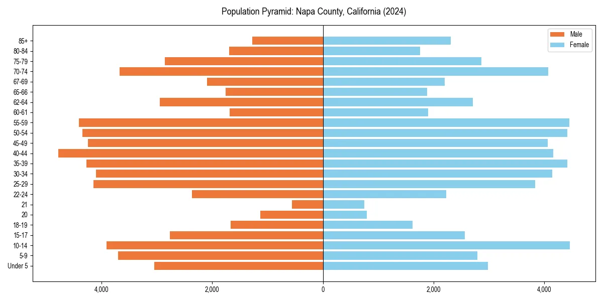 Population pyramid for 