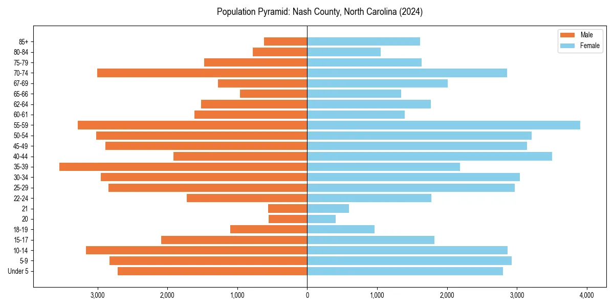 Population pyramid for 