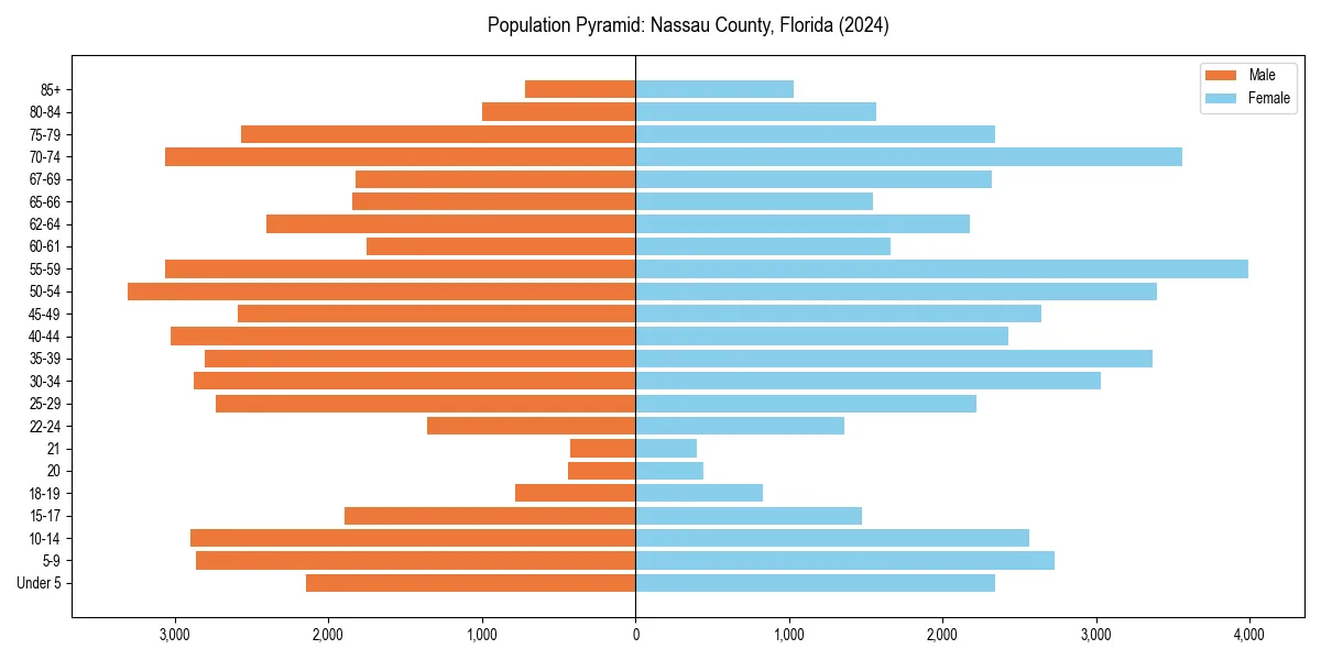 Population pyramid for 
