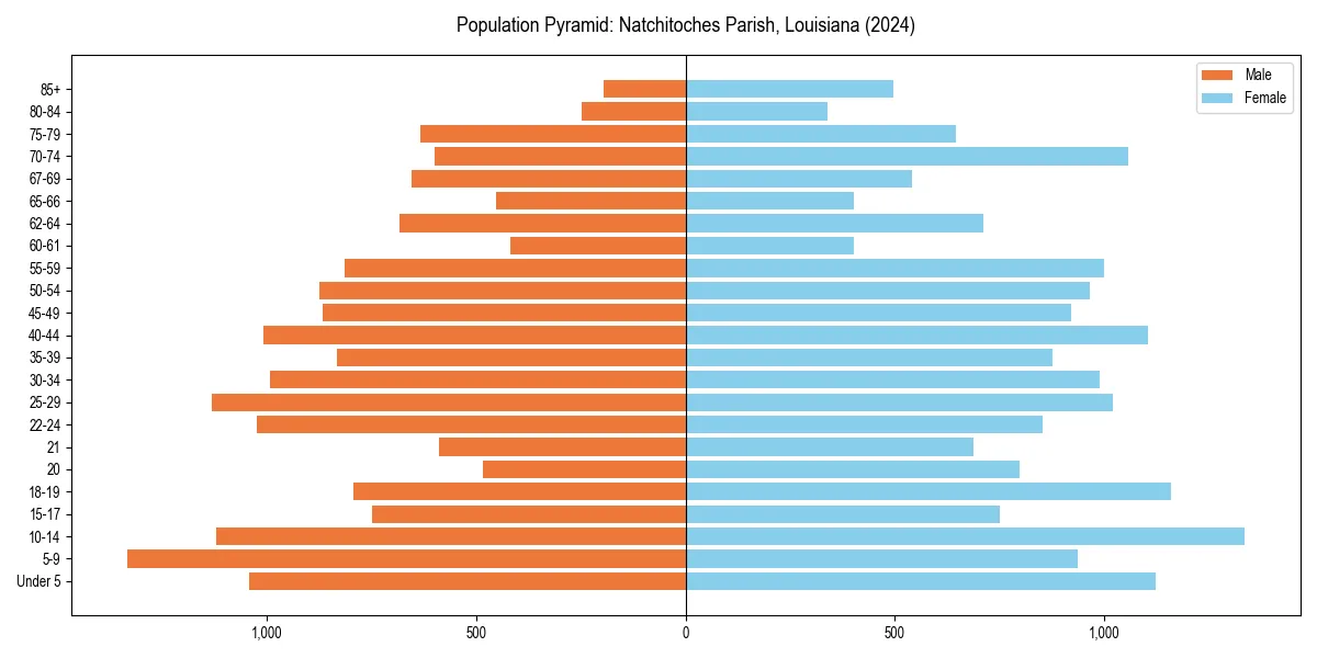 Population pyramid for 
