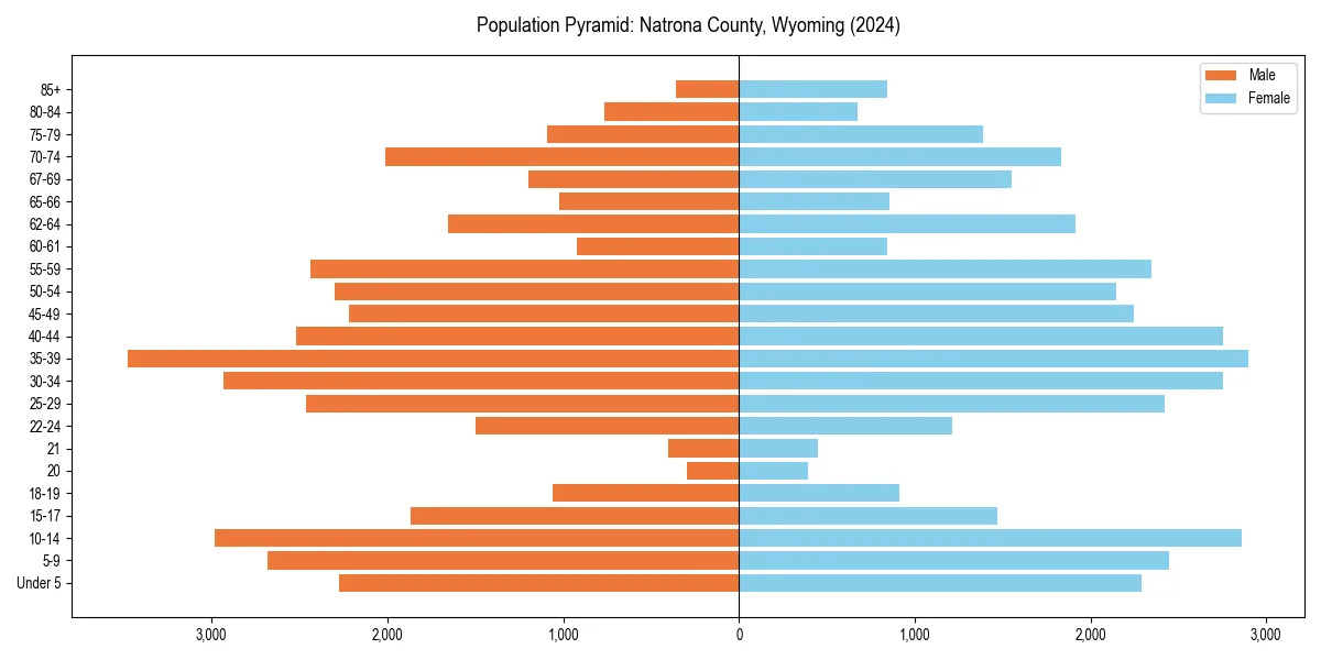 Population pyramid for 