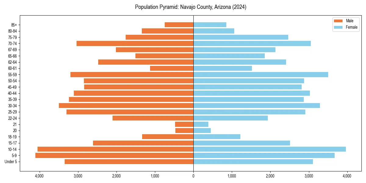 Population pyramid for 