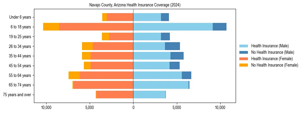 Health insurance pyramid for Navajo County, Arizona